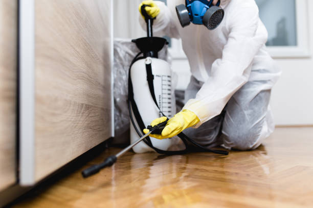 Best Best Pest Control Companies  in Metairie, LA