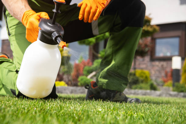 Best Affordable Pest Control Services  in Metairie, LA