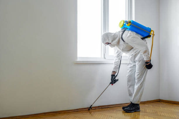 Best Wasp Removal Services  in Metairie, LA