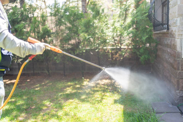 Wasp Removal Services in Metairie, LA