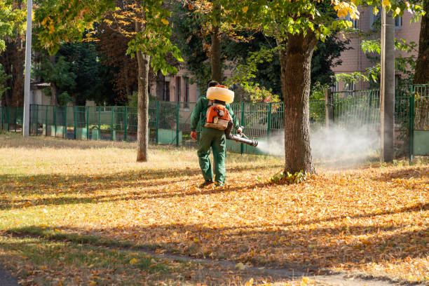 Reliable Metairie, LA Pest Control Solutions