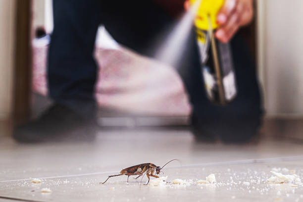 Best Commercial Pest Control Services  in Metairie, LA